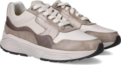 Xsensible Stretchwalker GOLDEN GATE LADY 33000.3 531 GX in de kleur taupe
