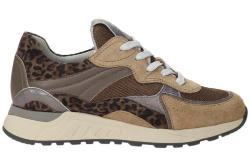 Piedi Nudi Sneaker NOVA 11.37 in de kleur taupe